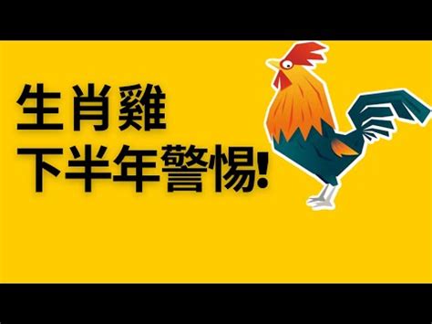 1981屬雞2023運勢|1981年屬雞2023運勢 